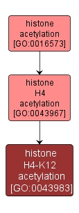 GO:0043983 - histone H4-K12 acetylation (interactive image map)