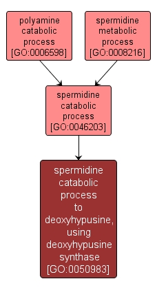 GO:0050983 - spermidine catabolic process to deoxyhypusine, using deoxyhypusine synthase (interactive image map)