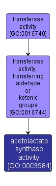 GO:0003984 - acetolactate synthase activity (interactive image map)