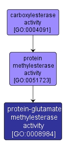 GO:0008984 - protein-glutamate methylesterase activity (interactive image map)