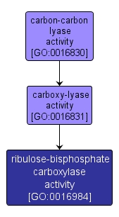 GO:0016984 - ribulose-bisphosphate carboxylase activity (interactive image map)