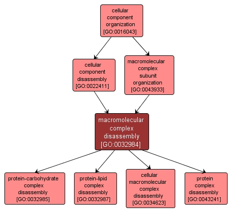 GO:0032984 - macromolecular complex disassembly (interactive image map)