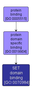 GO:0070984 - SET domain binding (interactive image map)