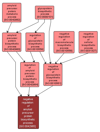 GO:0042985 - negative regulation of amyloid precursor protein biosynthetic process (interactive image map)