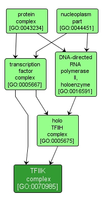 GO:0070985 - TFIIK complex (interactive image map)