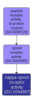 GO:0004987 - kappa-opioid receptor activity (interactive image map)