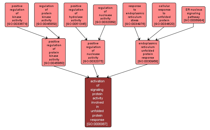 GO:0006987 - activation of signaling protein activity involved in unfolded protein response (interactive image map)
