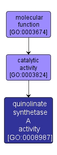 GO:0008987 - quinolinate synthetase A activity (interactive image map)