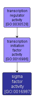 GO:0016987 - sigma factor activity (interactive image map)