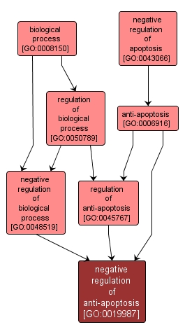 GO:0019987 - negative regulation of anti-apoptosis (interactive image map)