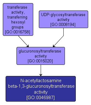 GO:0046987 - N-acetyllactosamine beta-1,3-glucuronosyltransferase activity (interactive image map)