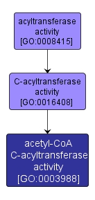 GO:0003988 - acetyl-CoA C-acyltransferase activity (interactive image map)