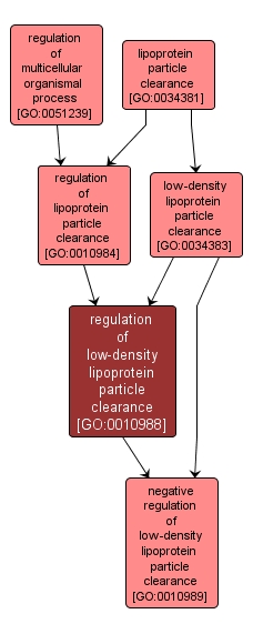GO:0010988 - regulation of low-density lipoprotein particle clearance (interactive image map)