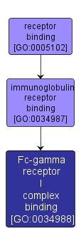 GO:0034988 - Fc-gamma receptor I complex binding (interactive image map)