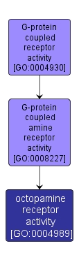 GO:0004989 - octopamine receptor activity (interactive image map)