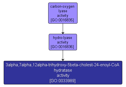 GO:0033989 - 3alpha,7alpha,12alpha-trihydroxy-5beta-cholest-24-enoyl-CoA hydratase activity (interactive image map)