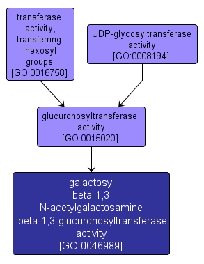 GO:0046989 - galactosyl beta-1,3 N-acetylgalactosamine beta-1,3-glucuronosyltransferase activity (interactive image map)