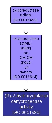 GO:0051990 - (R)-2-hydroxyglutarate dehydrogenase activity (interactive image map)