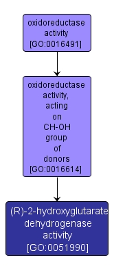 GO:0051990 - (R)-2-hydroxyglutarate dehydrogenase activity (interactive image map)