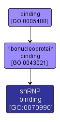 GO:0070990 - snRNP binding (interactive image map)