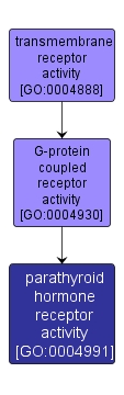 GO:0004991 - parathyroid hormone receptor activity (interactive image map)