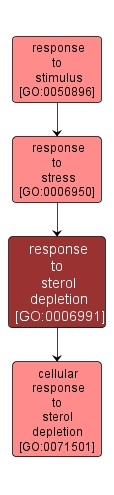 GO:0006991 - response to sterol depletion (interactive image map)