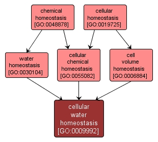 GO:0009992 - cellular water homeostasis (interactive image map)