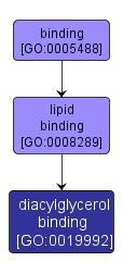 GO:0019992 - diacylglycerol binding (interactive image map)