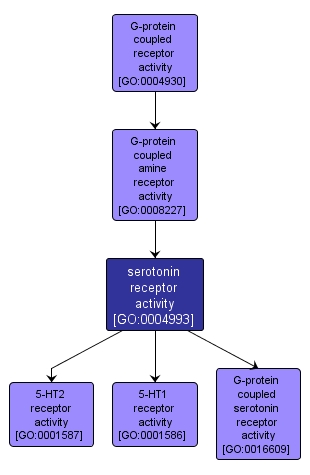GO:0004993 - serotonin receptor activity (interactive image map)