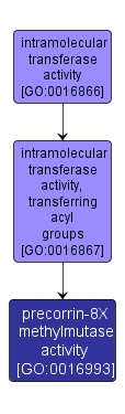 GO:0016993 - precorrin-8X methylmutase activity (interactive image map)