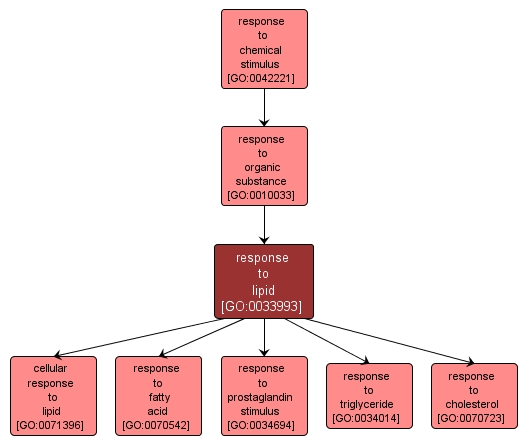 GO:0033993 - response to lipid (interactive image map)