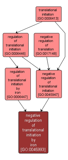 GO:0045993 - negative regulation of translational initiation by iron (interactive image map)