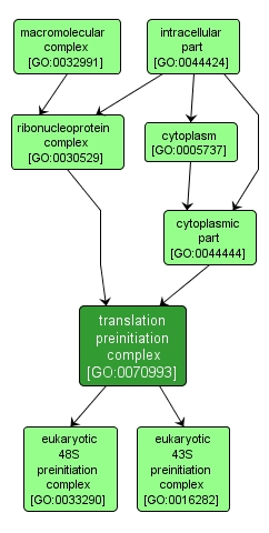 GO:0070993 - translation preinitiation complex (interactive image map)