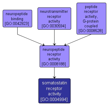GO:0004994 - somatostatin receptor activity (interactive image map)