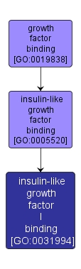GO:0031994 - insulin-like growth factor I binding (interactive image map)