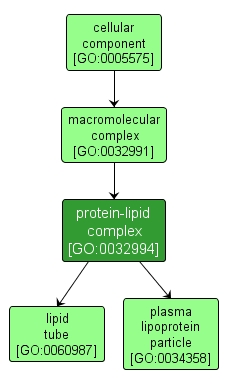 GO:0032994 - protein-lipid complex (interactive image map)