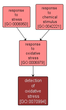 GO:0070994 - detection of oxidative stress (interactive image map)