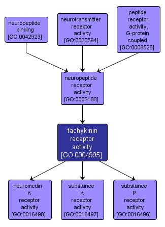 GO:0004995 - tachykinin receptor activity (interactive image map)