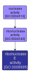 GO:0008995 - ribonuclease E activity (interactive image map)