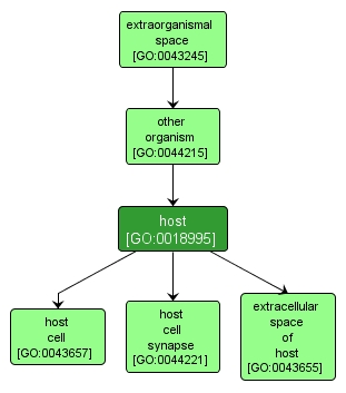 GO:0018995 - host (interactive image map)