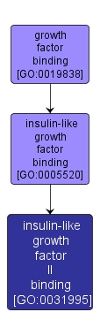 GO:0031995 - insulin-like growth factor II binding (interactive image map)