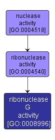 GO:0008996 - ribonuclease G activity (interactive image map)
