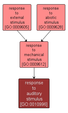 GO:0010996 - response to auditory stimulus (interactive image map)