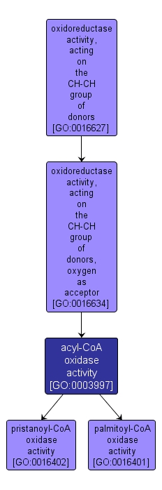 GO:0003997 - acyl-CoA oxidase activity (interactive image map)