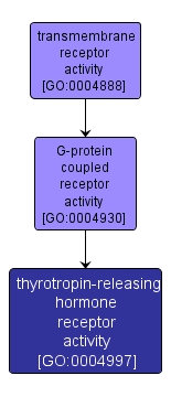 GO:0004997 - thyrotropin-releasing hormone receptor activity (interactive image map)