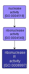 GO:0008997 - ribonuclease R activity (interactive image map)