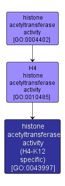 GO:0043997 - histone acetyltransferase activity (H4-K12 specific) (interactive image map)