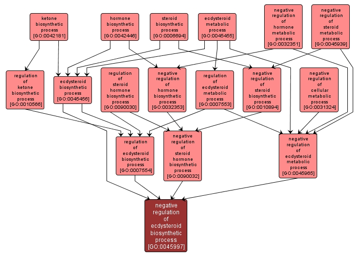 GO:0045997 - negative regulation of ecdysteroid biosynthetic process (interactive image map)