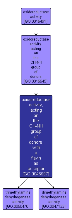 GO:0046997 - oxidoreductase activity, acting on the CH-NH group of donors, with a flavin as acceptor (interactive image map)