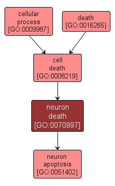 GO:0070997 - neuron death (interactive image map)